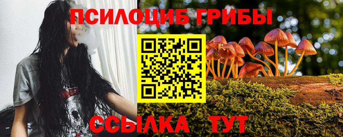 где можно купить   Вход с VPN  Назарово  Галлюциногенные грибы прущие грибы 