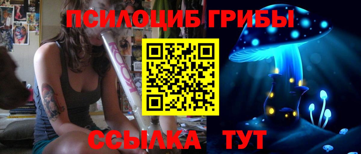 Галлюциногенные грибы Psilocybine cubensis Назарово